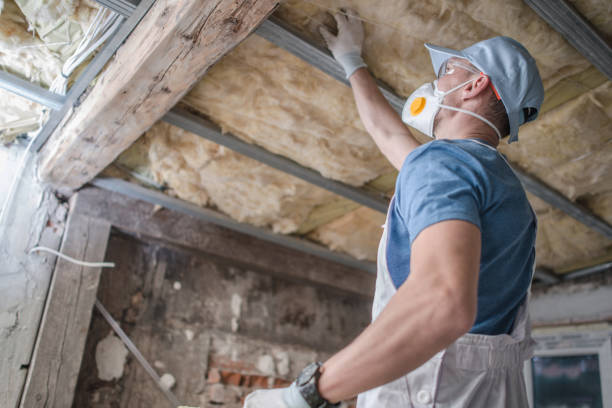 Best Specialized Insulation Services in Nassau Bay, TX
